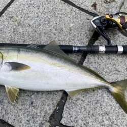 忍耐ショアジギ