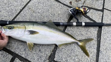 忍耐ショアジギ