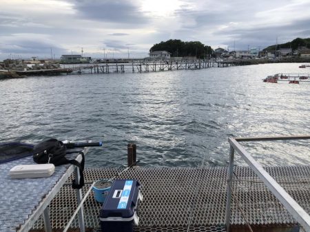 コジマだよっ笑タイ。デカアジ