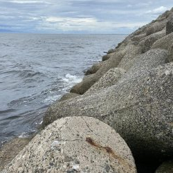 貝塚人工島の穴釣り