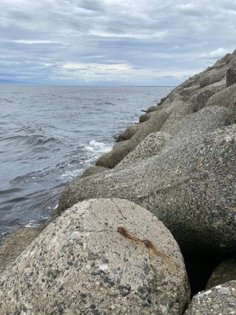 貝塚人工島の穴釣り