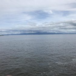 中タコ、スーツバ