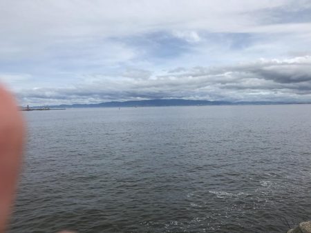 中タコ、スーツバ