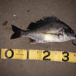 ナイトチニング！！