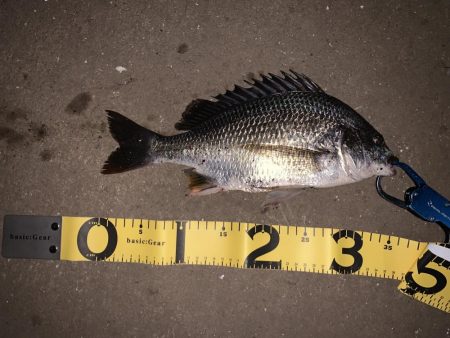 ナイトチニング！！