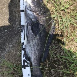 イチノ兄弟、釣果!