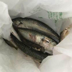 武庫川一文字にて