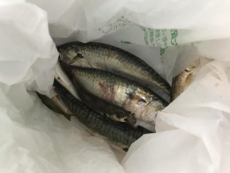 武庫川一文字にて