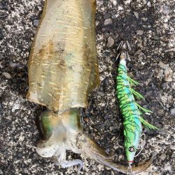 ひっさしぶりー!