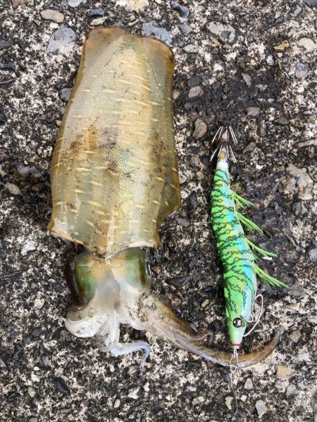 ひっさしぶりー!