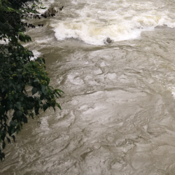 初の渓流？釣り
