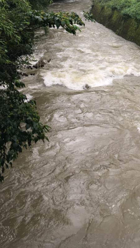 初の渓流？釣り