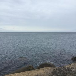 青物トップゲーム