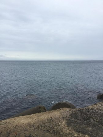 青物トップゲーム