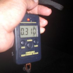 水潮・タコいた