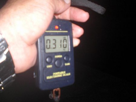 水潮・タコいた