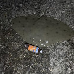 ランカーシーバス