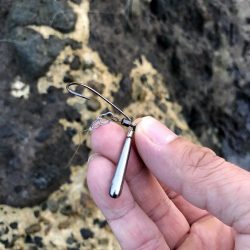 予想外のゲスト