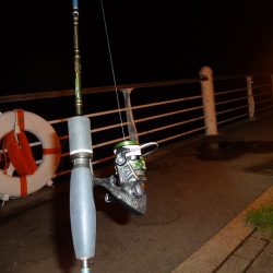 長いボウズ記録から脱出しました。