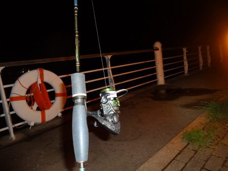 長いボウズ記録から脱出しました。