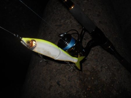 もう少し濁りが引かないと駄目か？