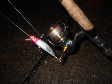 えげつない数のイナッコ…