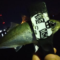 ご近所アジング偵察