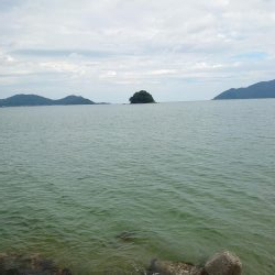 ちょい投げで狙う小魚