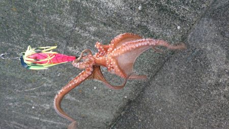 久しぶりのキロup