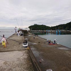 ショアジギング