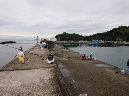 ショアジギング