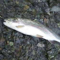 リヴァスポット早戸