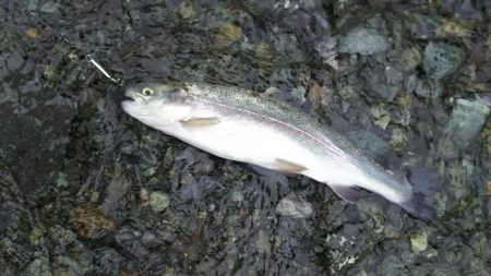 リヴァスポット早戸