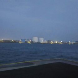 【新門司】タチウオ調査