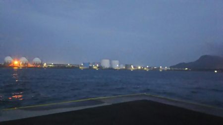 【新門司】タチウオ調査