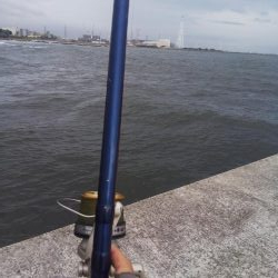 強風のキス釣り