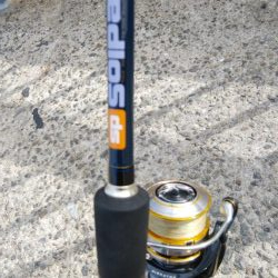 今年はサバしかいてない