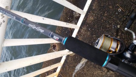 ライトショアジギングで釣れるのは・・・