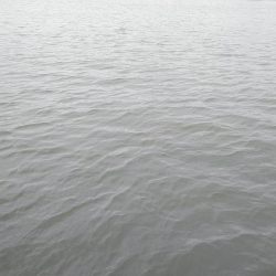 注意喚起も含めて……