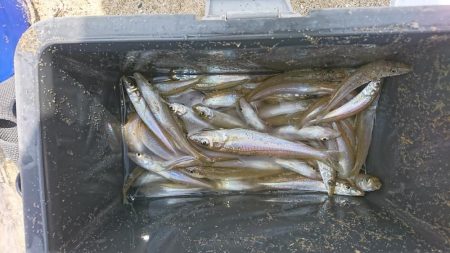 こんな日もあんだな。。