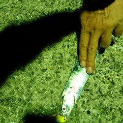 仕事終わり短時間