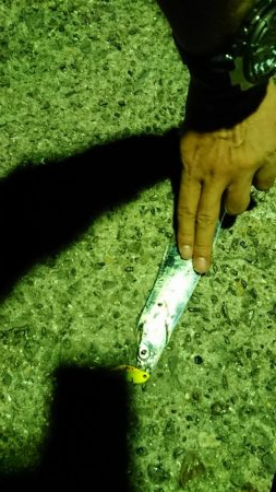 仕事終わり短時間