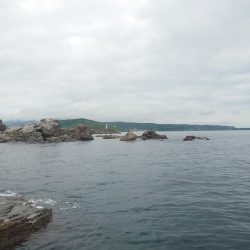 アコウ狙い釣行