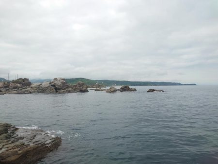 アコウ狙い釣行