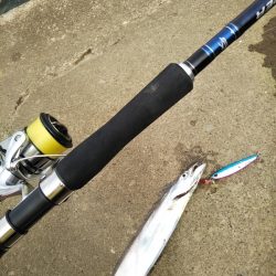 日中も良いペースで……