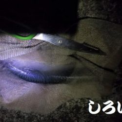 サバサバサバサバ、サバ食べた~い。