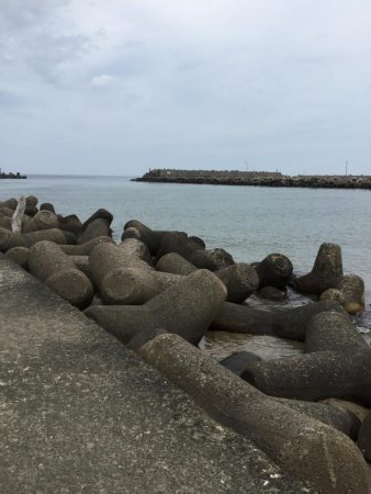 灼熱デイカマス