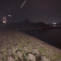 淀川のチニング