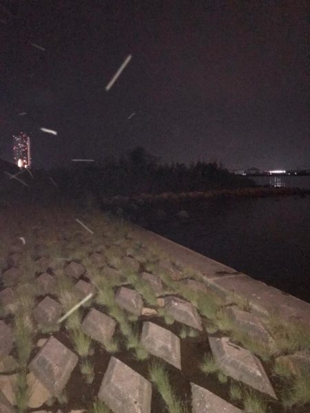 淀川のチニング