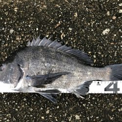 イチノ兄弟、釣果！